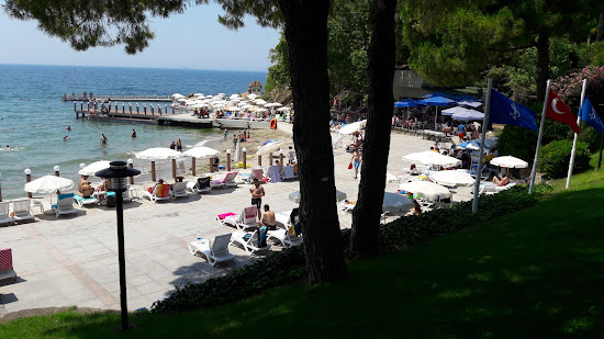 Darica beach IV