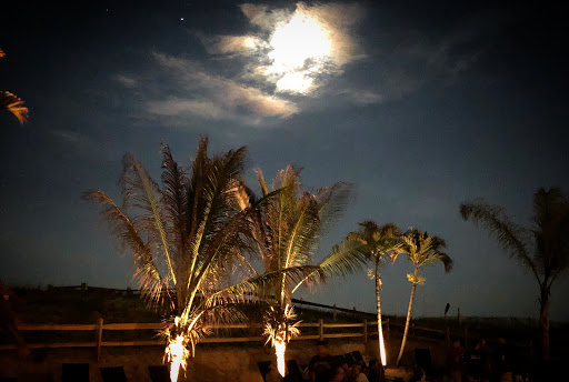 Beach Resort «Sea Shell Resort and Beach Club», reviews and photos, 10 S Atlantic Ave, Beach Haven, NJ 08008, USA