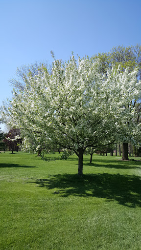 Golf Course «Crystal Springs Golf Course», reviews and photos, N8055 French Rd, Seymour, WI 54165, USA