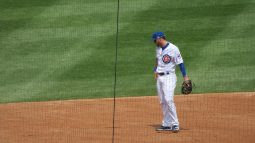 Stadium «Wrigley Field», reviews and photos, 1060 W Addison St, Chicago, IL 60613, USA