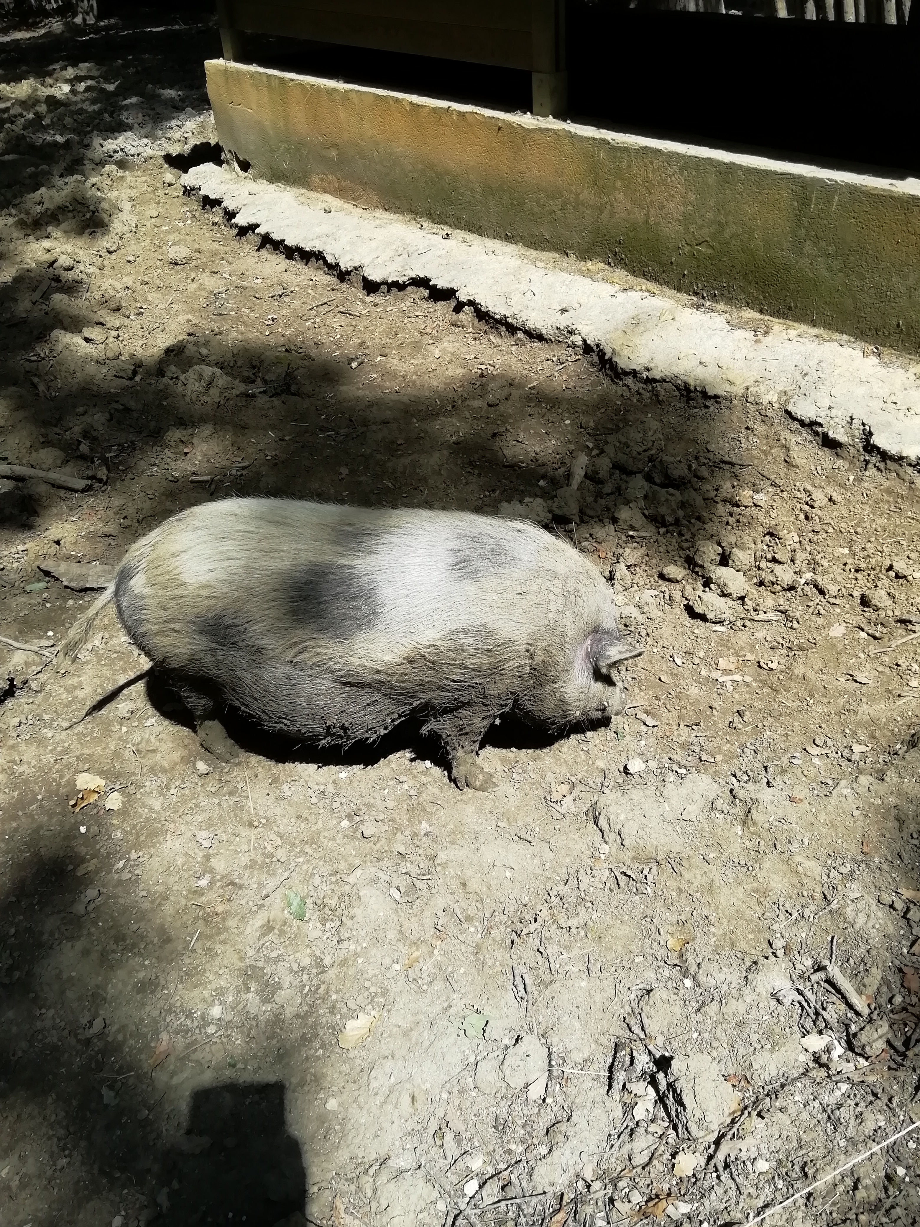 Photo n° 6 de l'avis de Franck.a fait le 23/06/2019 à 15:03