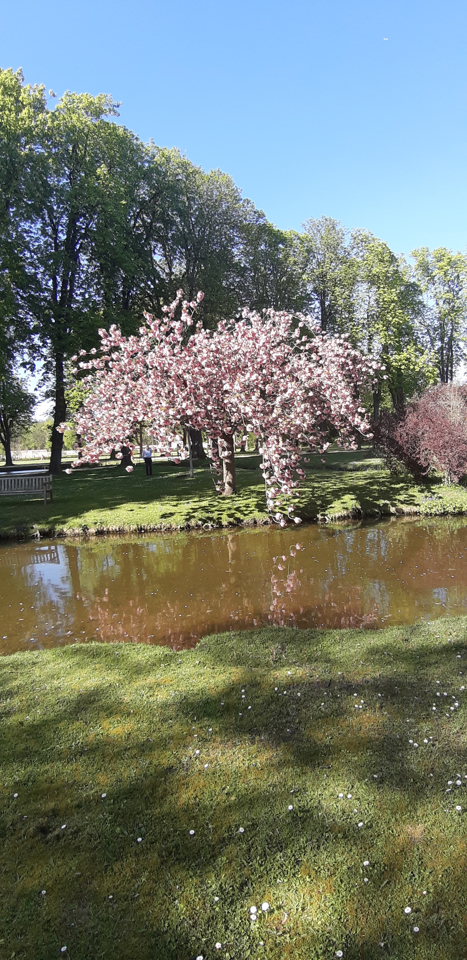 Photo n° 39 de l'avis de Eric.a fait le 21/04/2019 à 12:19