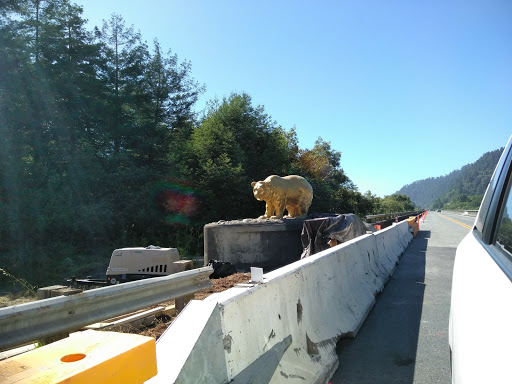 Tourist Attraction «Klamath Tour Thru Tree», reviews and photos, 430 California 169, Klamath, CA 95548, USA