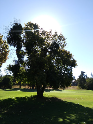 Golf Course «Campus Commons Golf Course», reviews and photos, 2 Cadillac Dr, Sacramento, CA 95825, USA