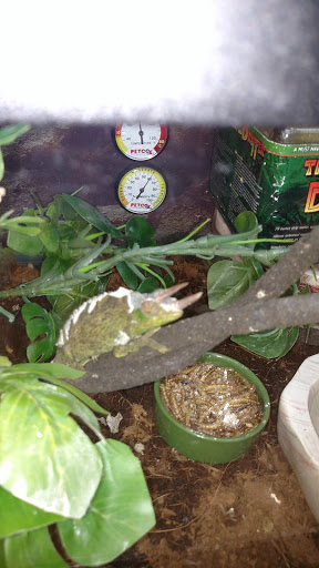 Pet Supply Store «Petco Animal Supplies», reviews and photos, 8735 Memorial Blvd, Port Arthur, TX 77640, USA