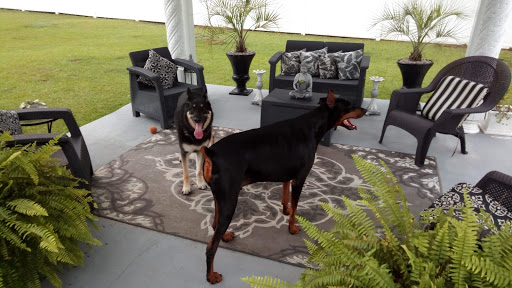 Pet Groomer «Petsense Conway», reviews and photos, 2803 Church St, Conway, SC 29526, USA