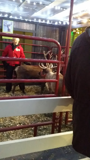 Zoo «Indianapolis Zoo», reviews and photos, 1200 W Washington St, Indianapolis, IN 46222, USA