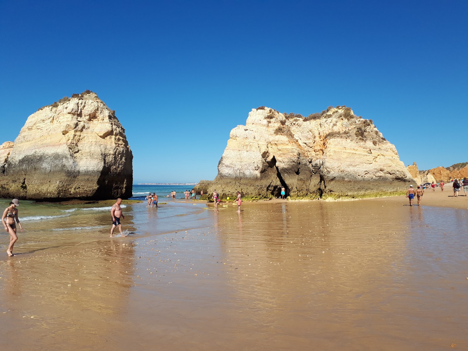 Valokuva Praia da Rochaista. - suosittu paikka rentoutumisen tuntijoille