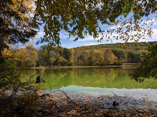 State Park «Winding Hills County Park», reviews and photos, 1847 NY-17K, Montgomery, NY 12549, USA
