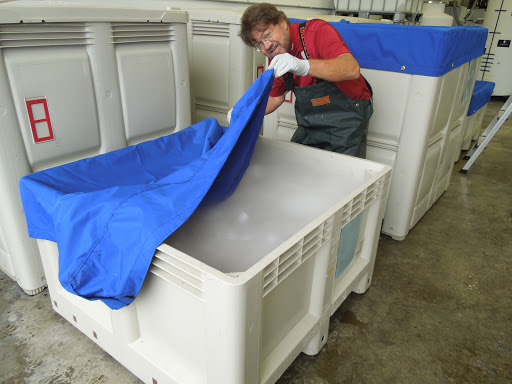 Tourist Attraction «TREOS Winery», reviews and photos, 10705 Airlie Rd, Monmouth, OR 97361, USA