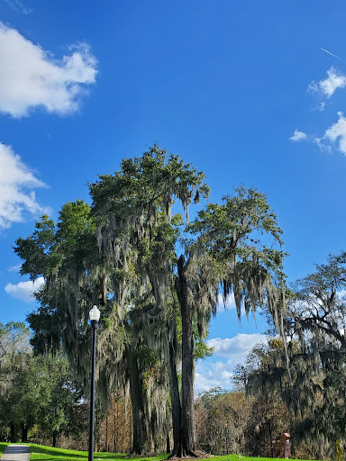 Art Museum «The Mennello Museum of American Art», reviews and photos, 900 E Princeton St, Orlando, FL 32803, USA