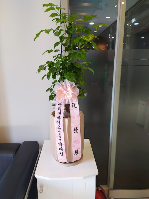 Dr. Hong's Aesthetic Clinic - Dr. Hong's Aesthetic Clinic