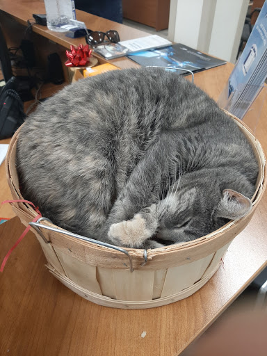 Ford Dealer «Leo Kaytes Ford», reviews and photos, 145 NY-94, Warwick, NY 10990, USA