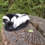 Photo n° 21 de l'avis de Noëlla.I fait le 29/08/2023 à 18:45 pour Zoo Thoiry à Thoiry