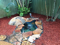 Reliable Ponds - Photo 4 - Car repair in , Kissimmee
