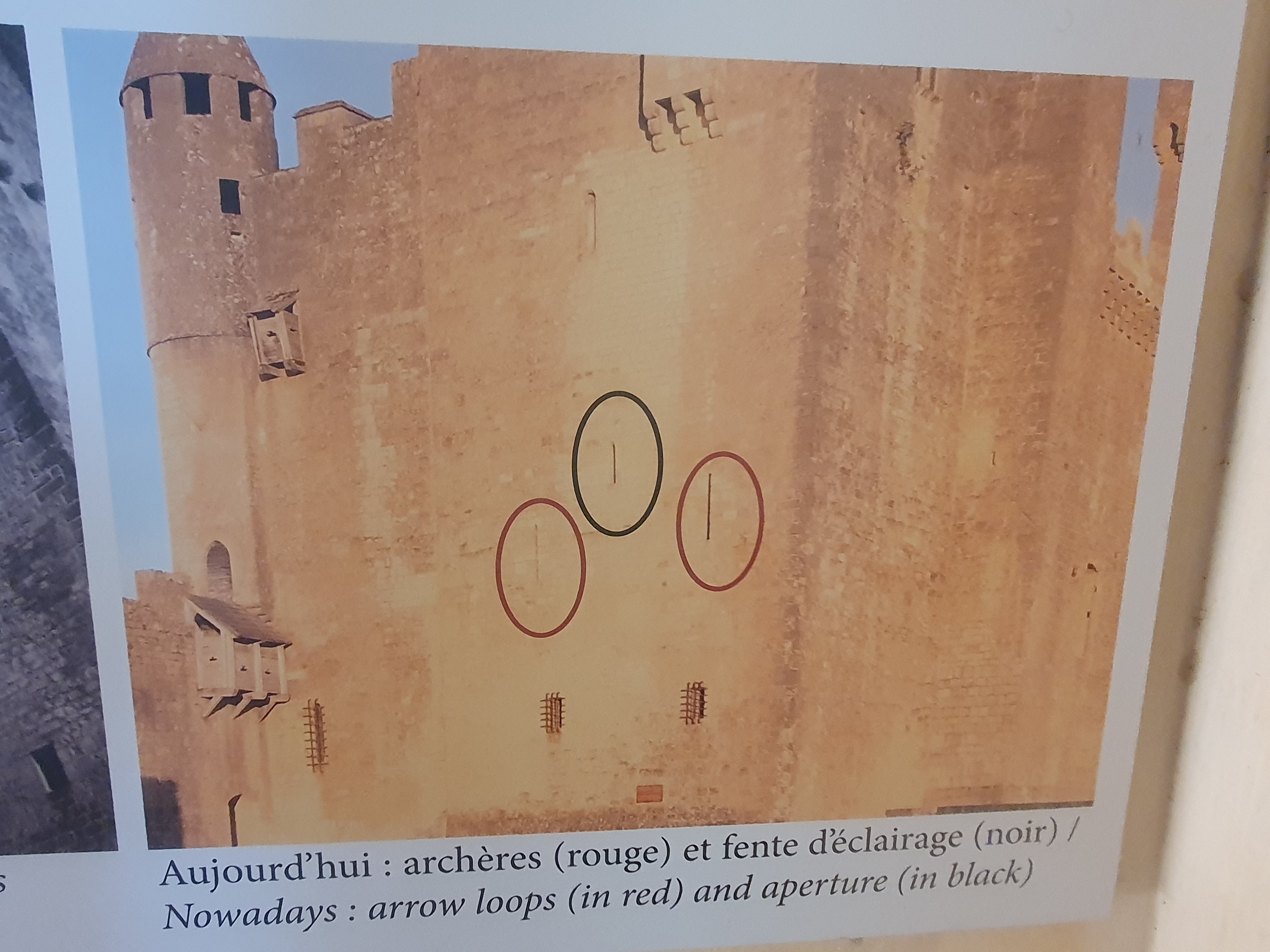 Photo n° 12 de l'avis de Christine.o fait le 14/08/2023 à 21:22