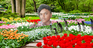 user