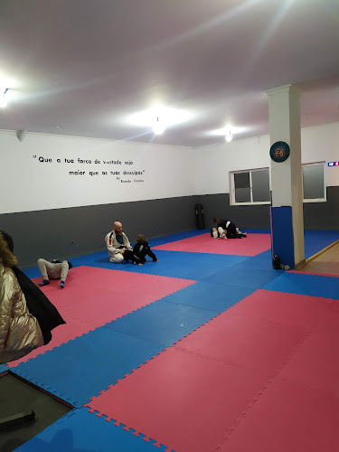Studio83 EssenceBJJ - Academia