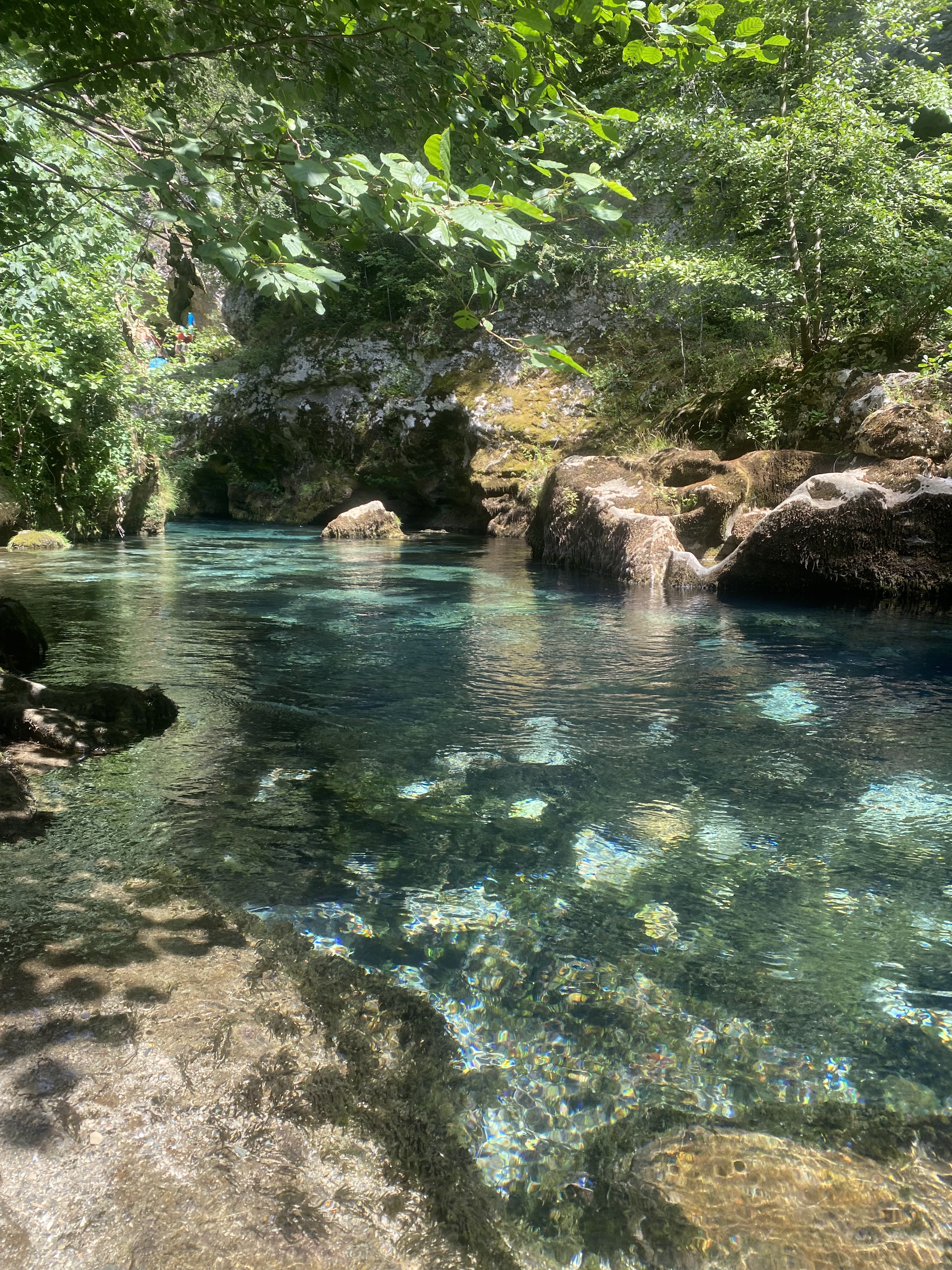 Photo n° 2 de l'avis de Daphné.a fait le 22/08/2022 à 16:28