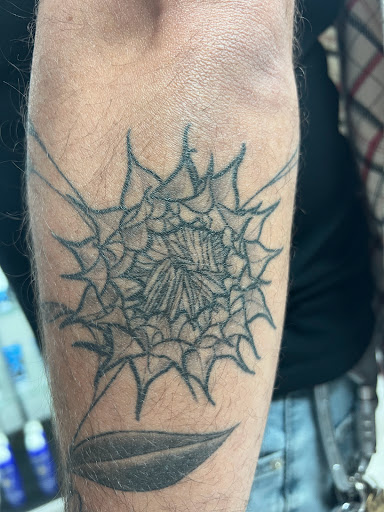 Explore belle tattoo ideas, creative tattoo ideas in Wake Forest, available at Revelation Ink Tattoo and Piercing