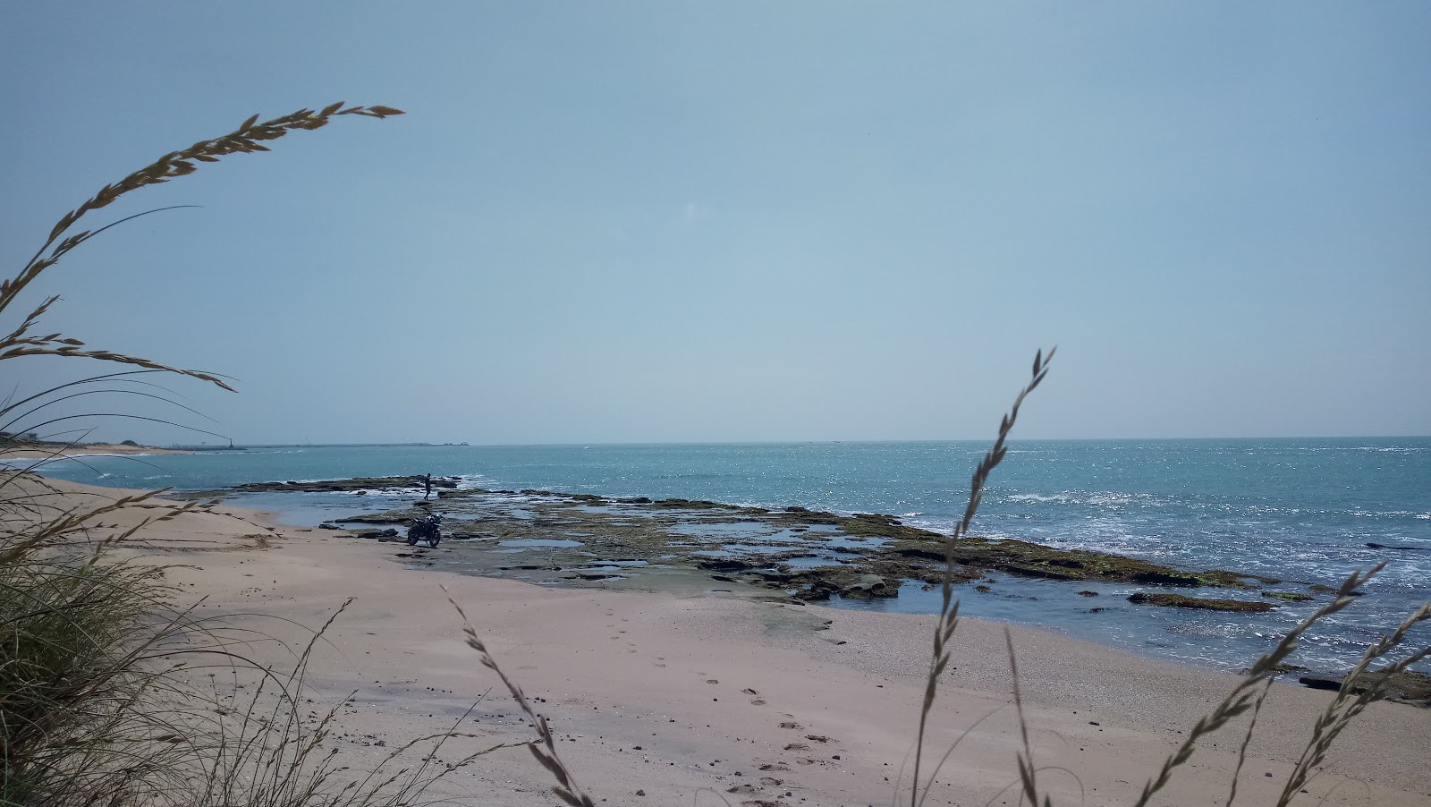 Fotografija Panjal Beach divje območje