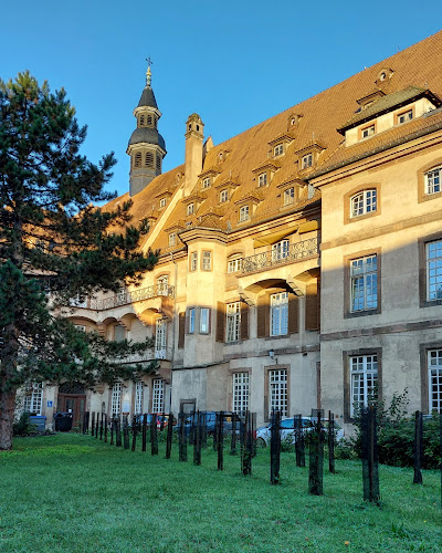 attractions Cave Historique des Hospices de Strasbourg Strasbourg