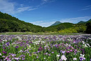 Kagurame Lake image