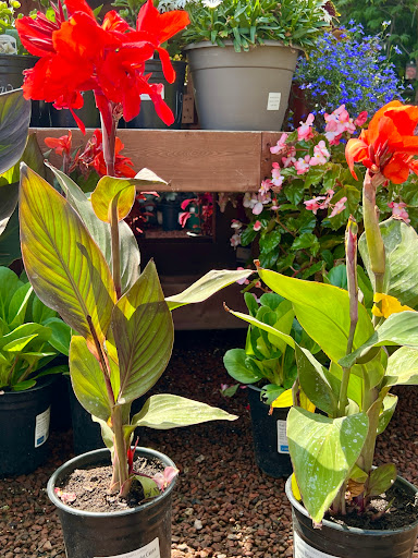 Hardware Store «Payless Hardware, Rockery and Nursery», reviews and photos, 2927 King Rd, San Jose, CA 95122, USA