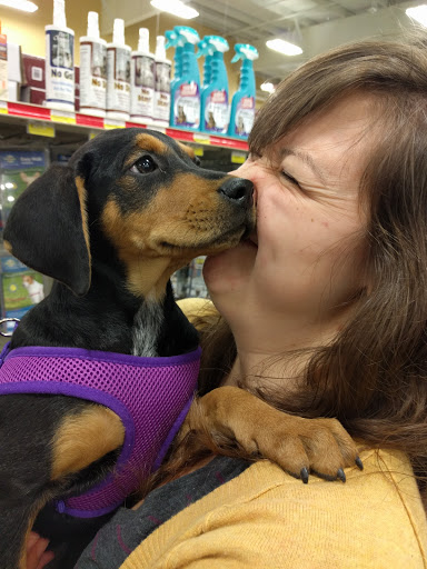 Pet Supply Store «Care-A-Lot Pet Supply Indian River», reviews and photos, 5457 Indian River Rd, Virginia Beach, VA 23464, USA