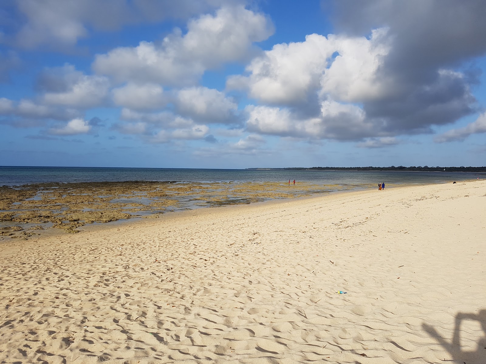 Foto di Shangani Beach con costa lunga e dritta
