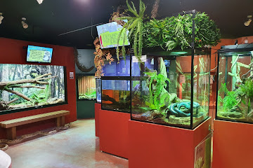 Canberra Reptile Zoo