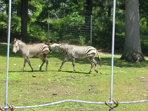 Zoo «Franklin Park Zoo», reviews and photos, 1 Franklin Park Rd, Boston, MA 02121, USA