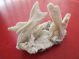 Photo n°4 de Alexandre Import Nature Monde à Gentilly ()