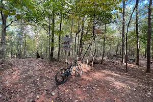 Chicopee Woods Mountain Bike Trails image