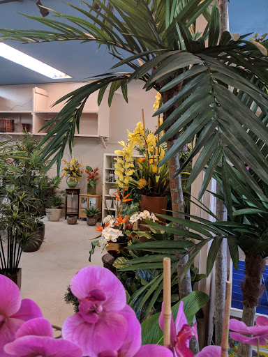 Florist «Flower City Florist», reviews and photos, 917 N Federal Hwy, Fort Lauderdale, FL 33304, USA