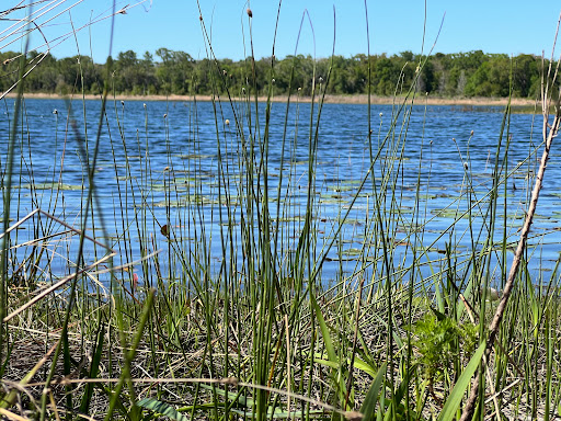 Park «Lake Rogers Park», reviews and photos, 9010 N Mobley Rd, Odessa, FL 33556, USA