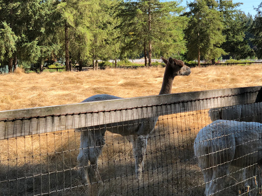 Amusement Center «Remlinger Farms», reviews and photos, 32610 NE 32nd St, Carnation, WA 98014, USA