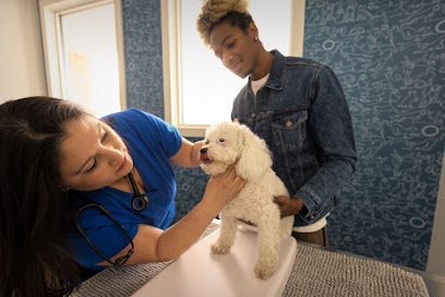 Thrive Pet Healthcare Midtown
