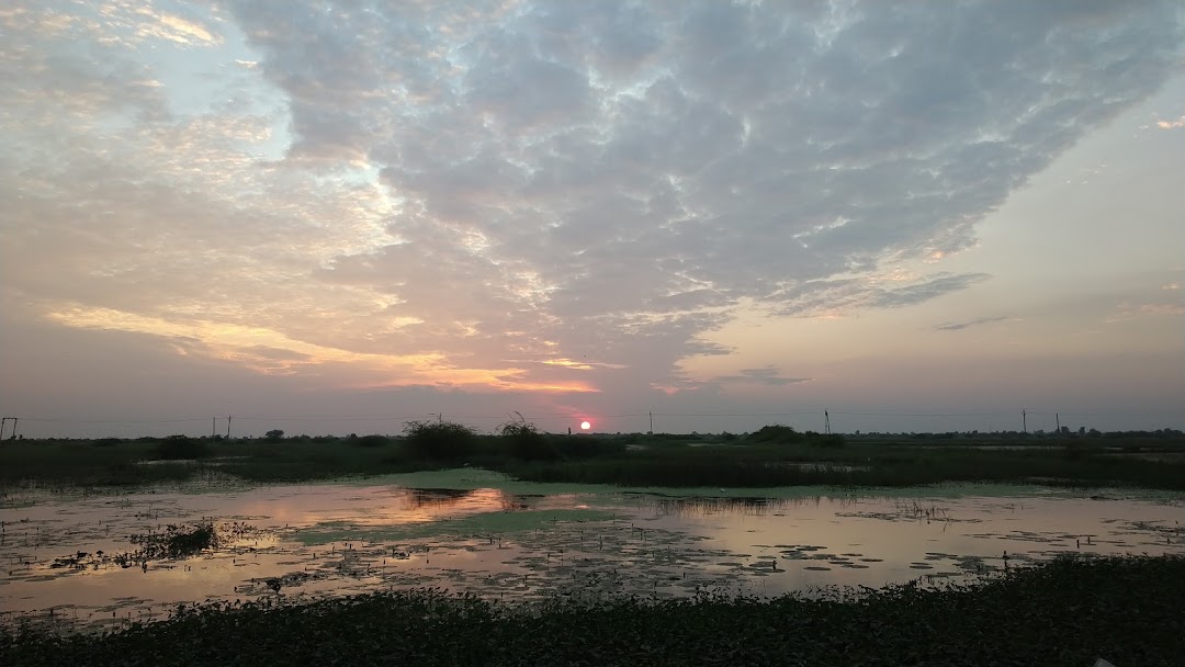 આંબળી