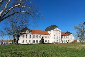 Castle Pejačević image