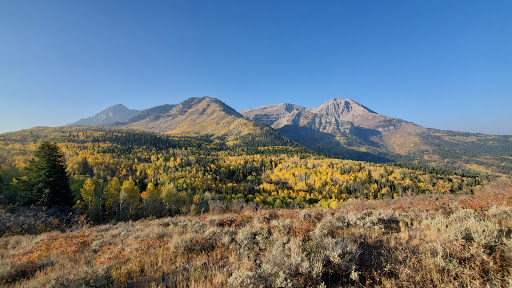 Ridge Trail 157