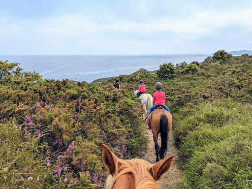 Equus Boria en San Vicente de la Barquera, Cantabria