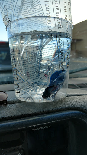 Pet Supply Store «PetSmart», reviews and photos, 2997 Max Ave, Bozeman, MT 59718, USA