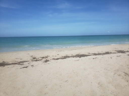 Live Music Venue «Terra Fermata», reviews and photos, 26 SE 6th St, Stuart, FL 34994, USA