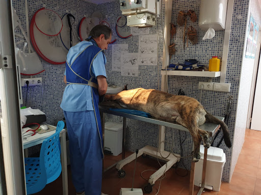 Echevarria Clínica Veterinaria en Málaga