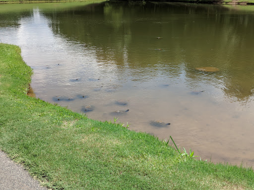 Country Club «Prestonwood Country Club», reviews and photos, 300 Prestonwood Pkwy, Cary, NC 27513, USA