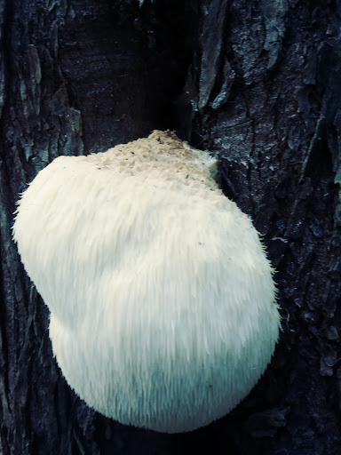 Golf Club «Compass Pointe Golf Courses», reviews and photos, 9010 Fort Smallwood Rd, Pasadena, MD 21122, USA