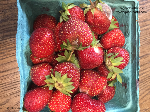 Health Food Store «Good Earth Natural Food Co.», reviews and photos, 6350 Guilford Ave, Indianapolis, IN 46220, USA