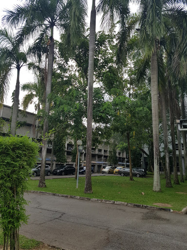 Faculty of Medicine (FOM), University of Malaya