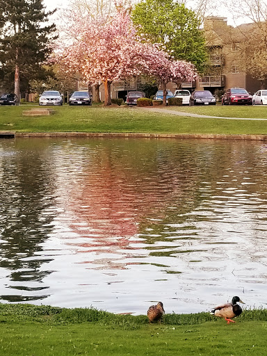 Park «Hogan Park», reviews and photos, 24400 Russell Rd, Kent, WA 98032, USA